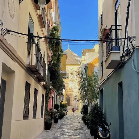 Calle Huerto De Los Claveles Apartment Málaga